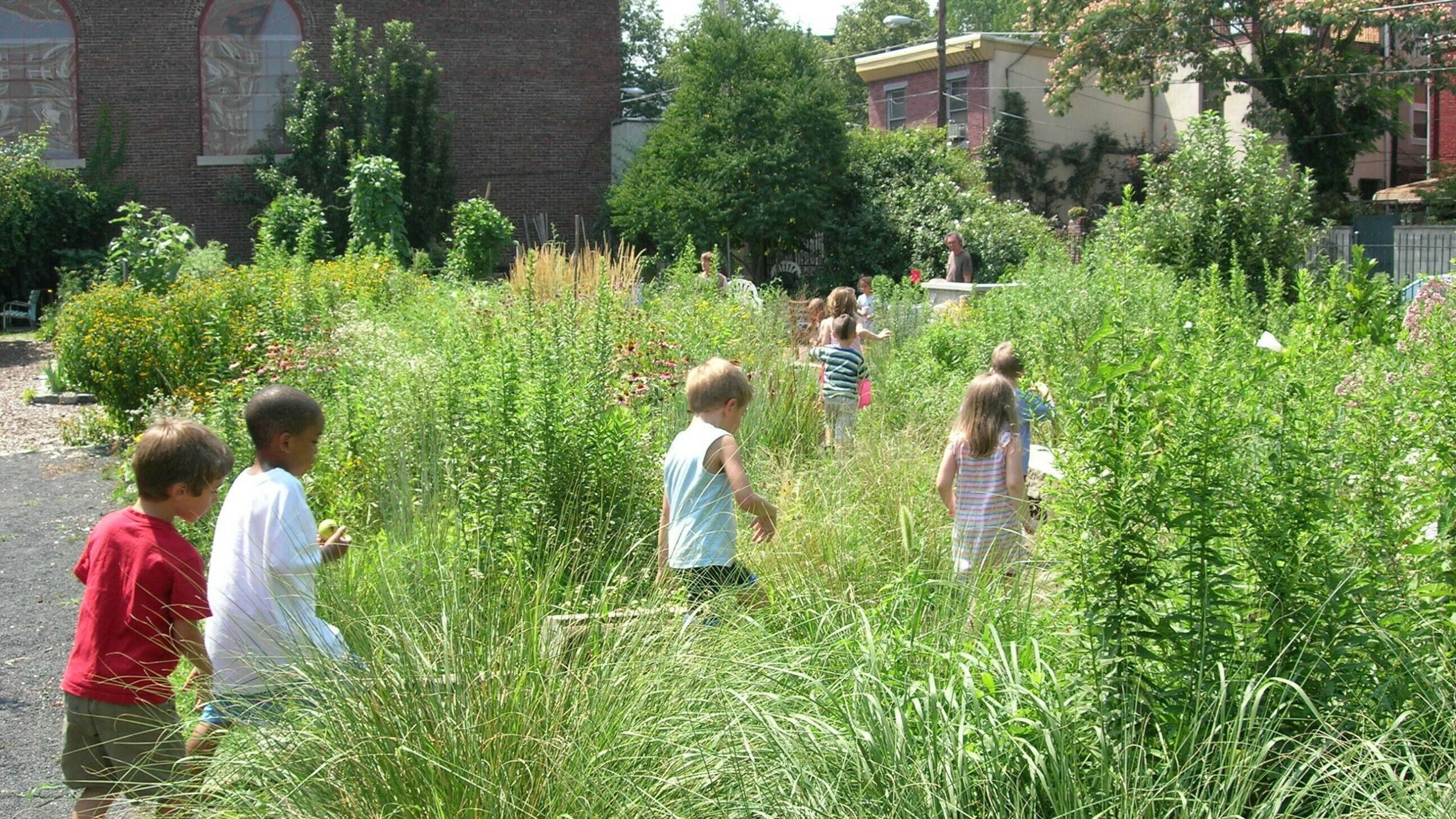 3 - Growing for the Future|1 growing_for_the_future_story_resource_img|2- Rucola